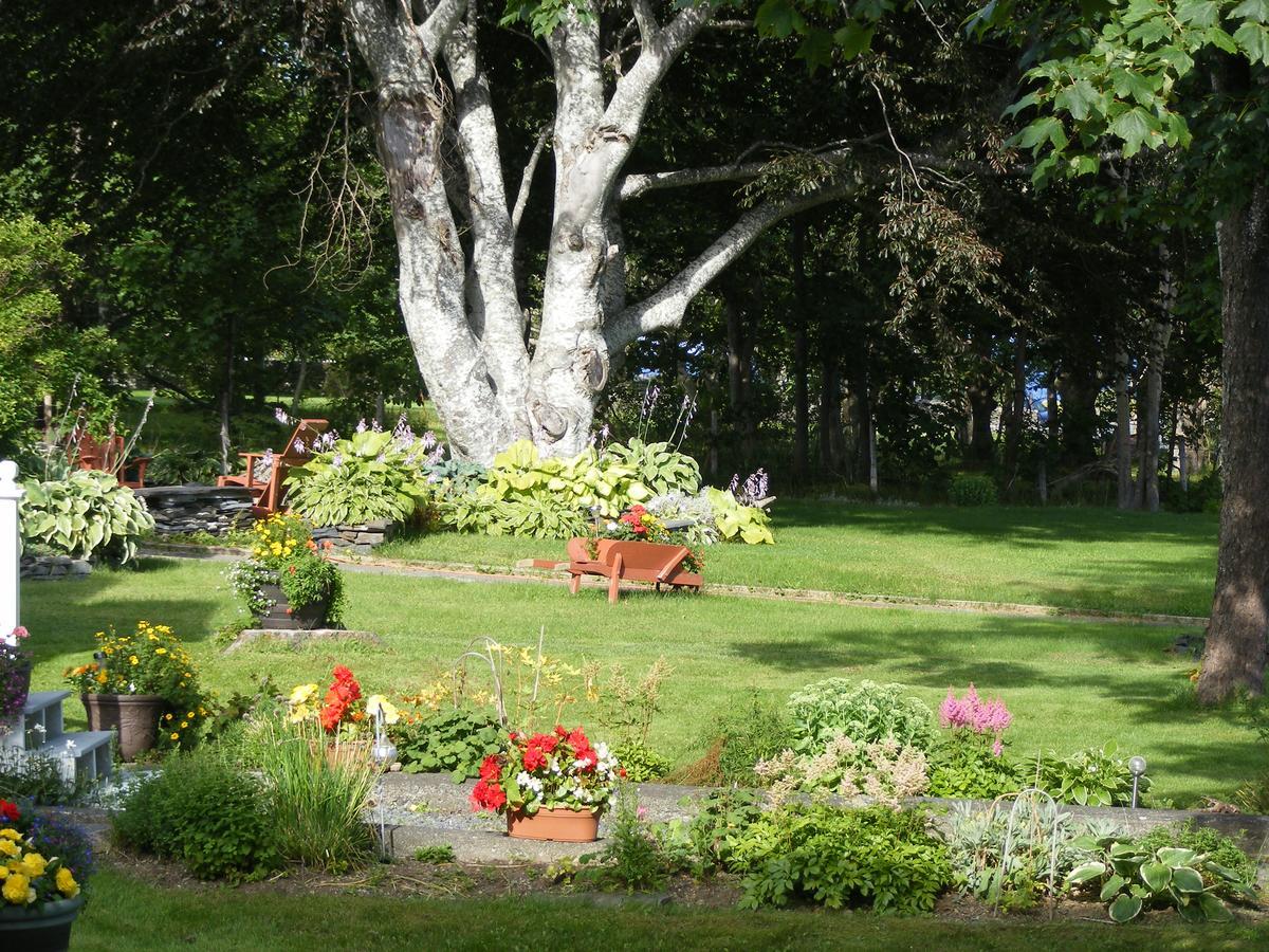 Rothesay House Heritage Inn B&B Harbour Grace Екстериор снимка